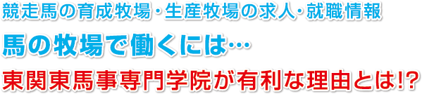 競走馬の育成牧場・生産牧場の求人・就職情報
馬の牧場で働くには…
東関東馬事専門学院が有利な理由とは!?
