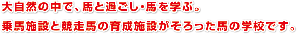 大自然の中で、馬と過ごし・馬を学ぶ。
乗馬施設と競走馬の育成施設がそろった馬の学校です。