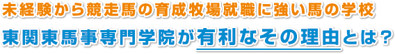 未経験から競走馬の育成牧場就職に強い馬の学校
東関東馬事専門学院が有利なその理由とは？
